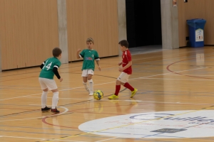 _MG_2613-Avec accentuation-Bruit.jpg